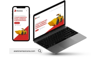 Página web responsiva en torreón