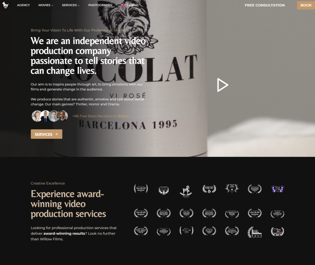 PAGINAS WEB PARA CASAS DE PRODUCCION DE VIDEO TORREON MRMIND