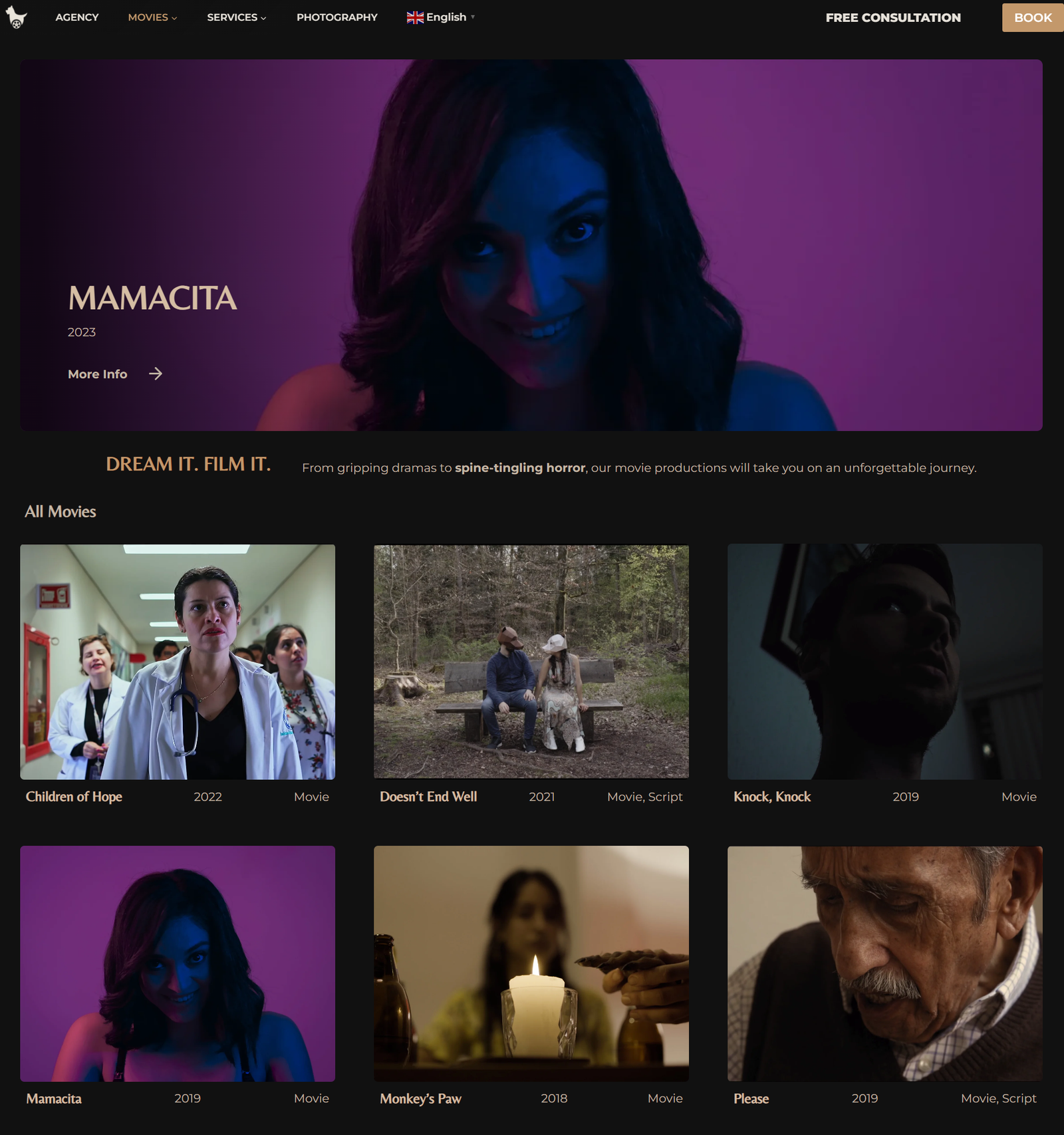 PAGINAS WEB PARA VIDEOPRODUCTORAS TORREON MRMIND