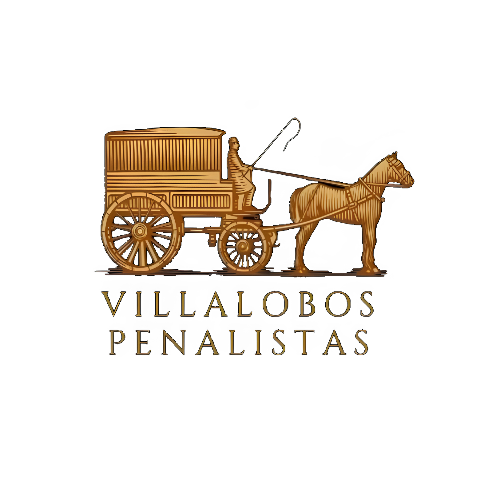 Villalobos Penalistas