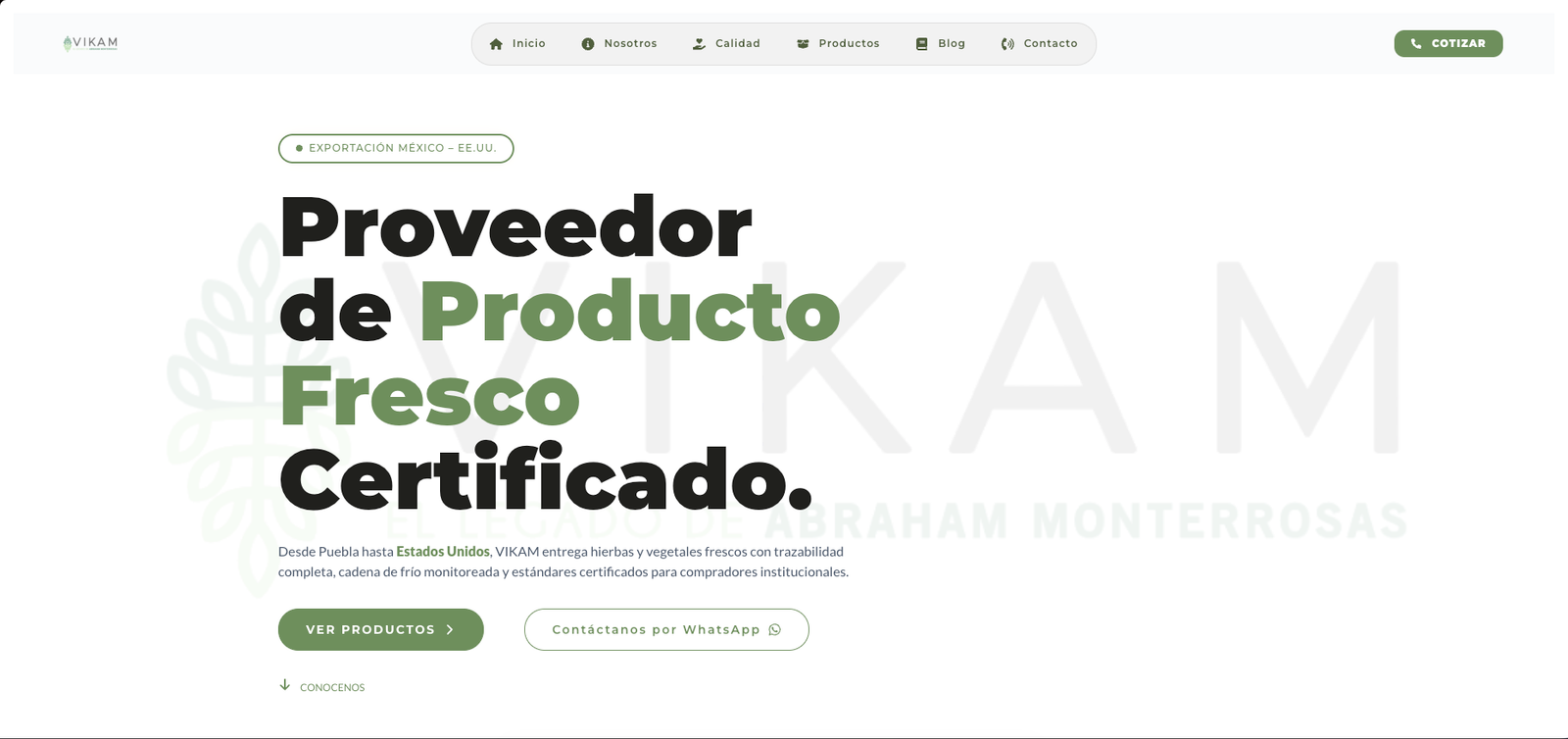 Sitio web de Vikam diseñado por mr.mind